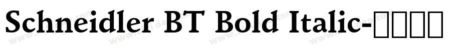 Schneidler BT Bold Italic字体转换